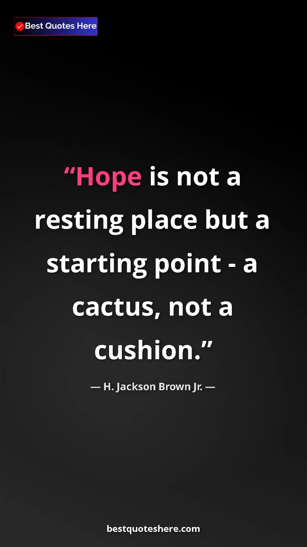 Pinterest quote poster by H. Jackson Brown Jr.: "Hope is not a resting place but a starting point - a..."