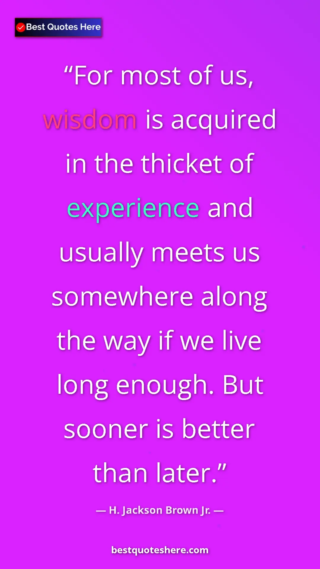 Pinterest quote poster by H. Jackson Brown Jr.: "For most of us, wisdom is acquired in the thicket of..."
