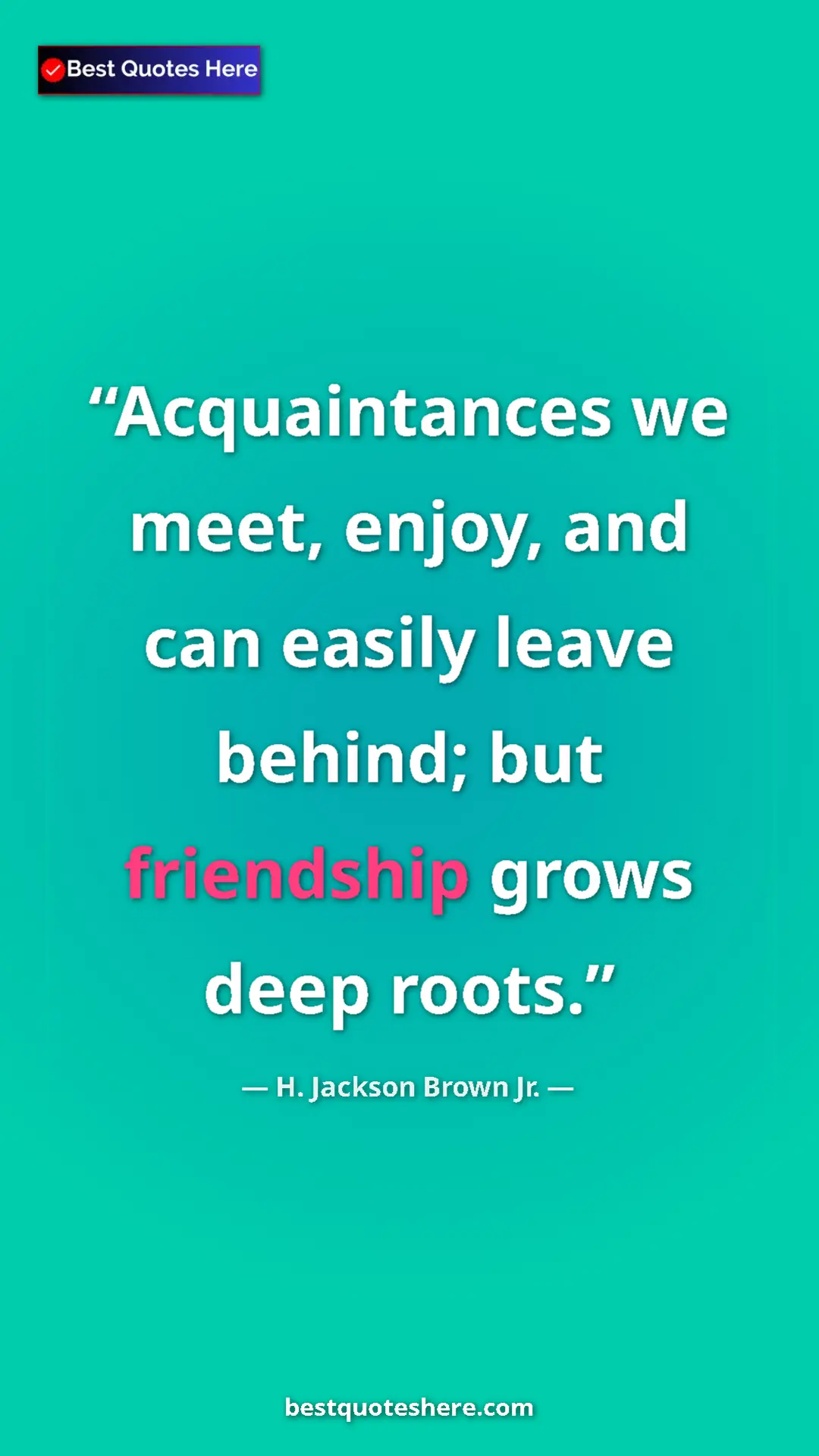 Pinterest quote poster by H. Jackson Brown Jr.: "Acquaintances we meet, enjoy, and can easily leave behind;..."