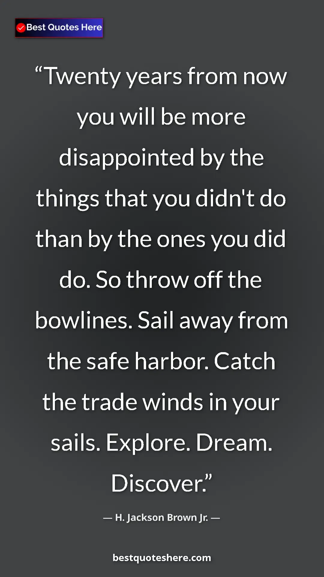 Pinterest quote poster by H. Jackson Brown Jr.: "Twenty years from now you will be more disappointed by the..."
