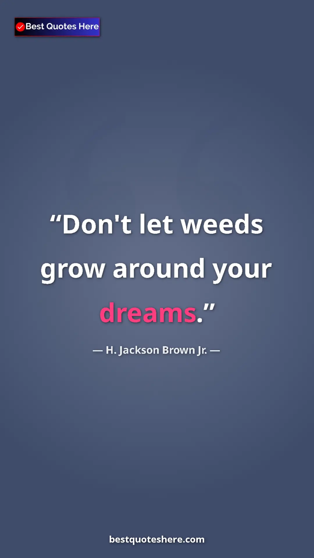 Pinterest quote poster by H. Jackson Brown Jr.: "Don't let weeds grow around your dreams."