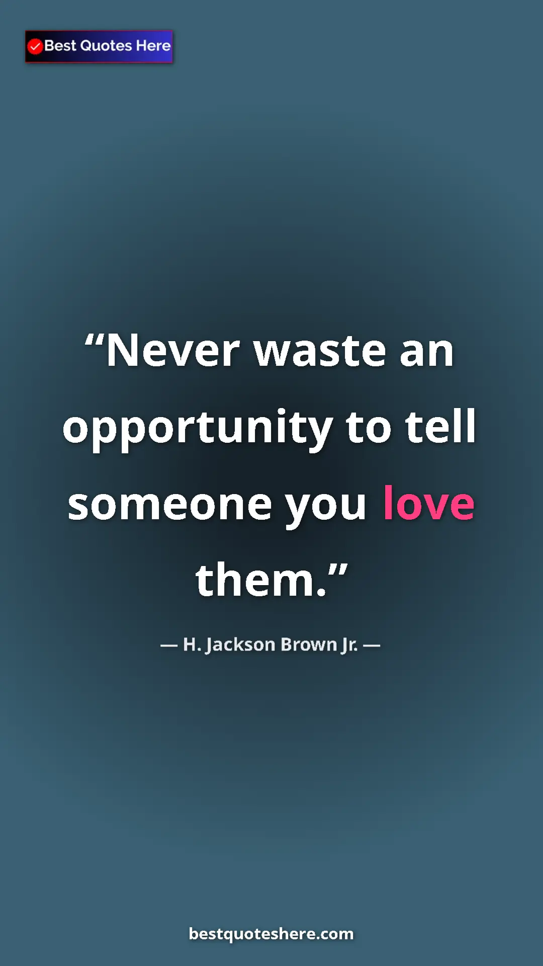 Pinterest quote poster by H. Jackson Brown Jr.: "Never waste an opportunity to tell someone you love them."