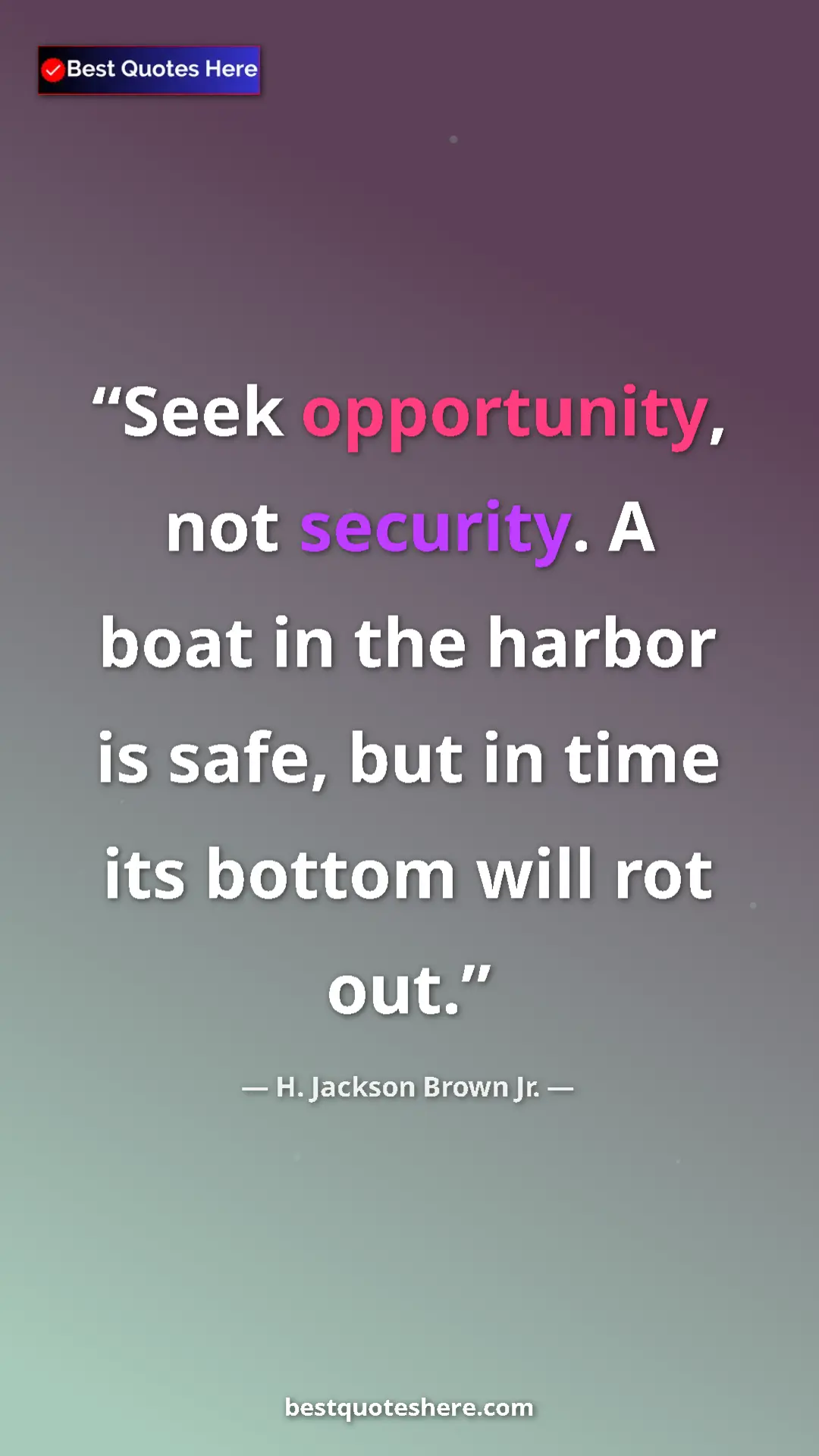 Pinterest quote poster by H. Jackson Brown Jr.: "Seek opportunity, not security. A boat in the harbor is..."