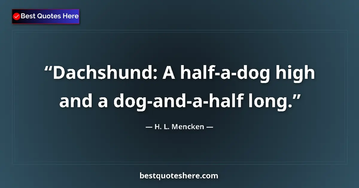 Quote by H. L. Mencken: Dachshund: A half-a-dog high and a dog-and-a-half long....