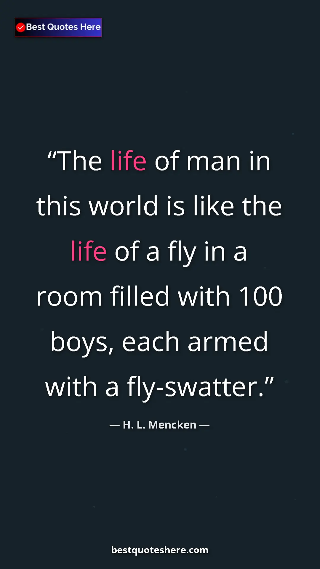 Pinterest quote poster by H. L. Mencken: "The life of man in this world is like the life of a fly in..."
