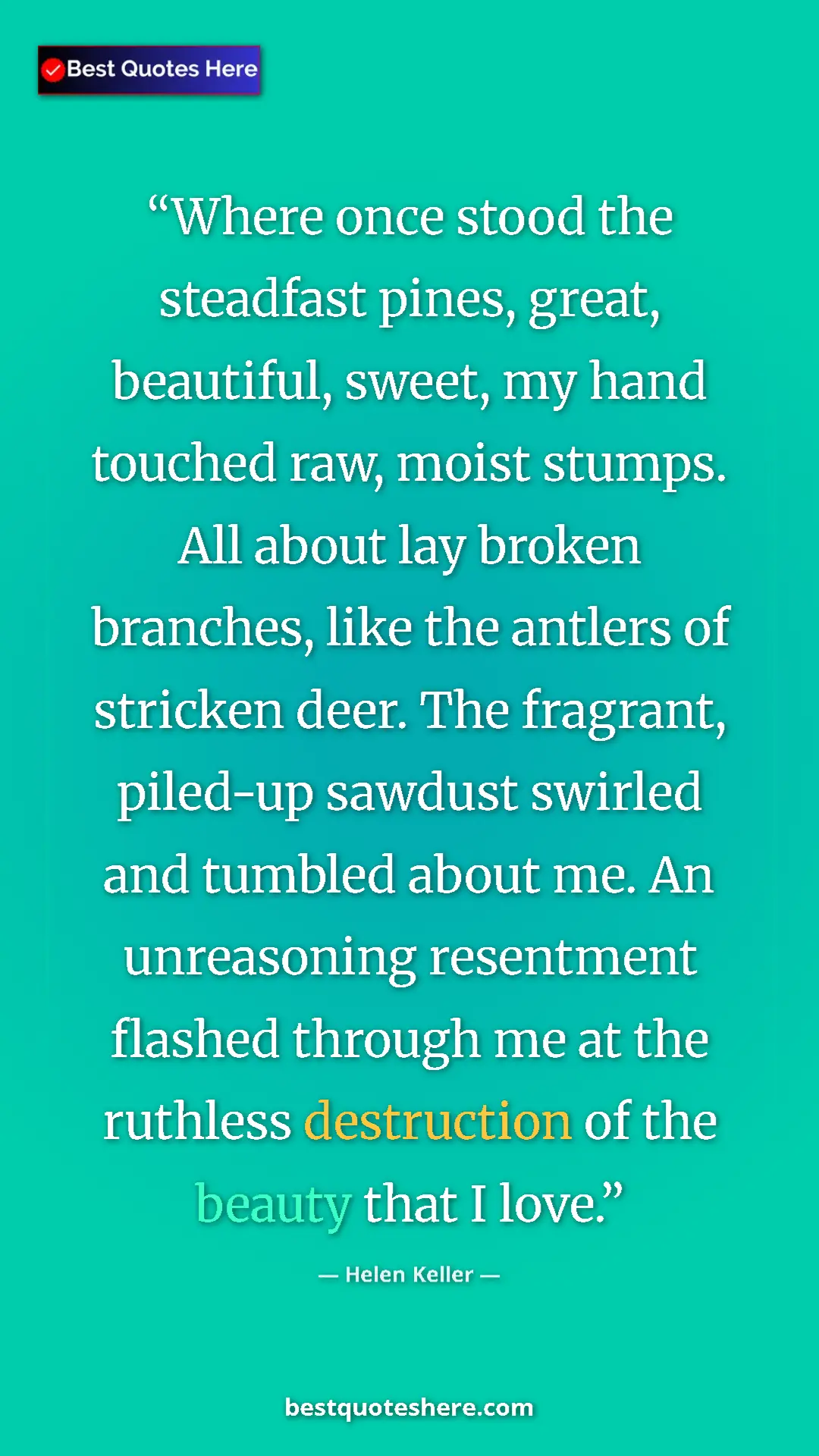 Pinterest quote poster by Helen Keller: "Where once stood the steadfast pines, great, beautiful,..."