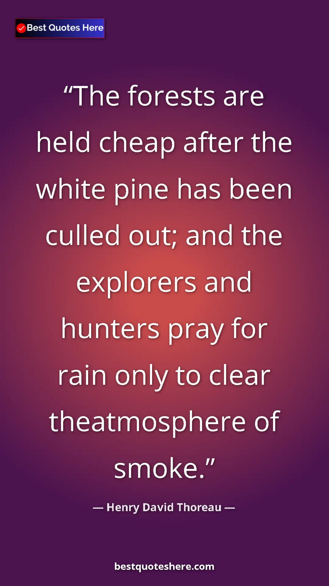 Pinterest quote poster by Henry David Thoreau: "The forests are held cheap after the white pine has been..."