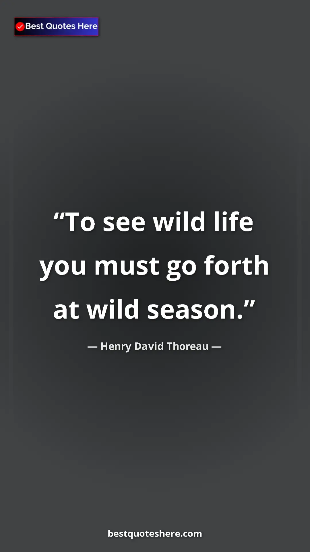 Pinterest quote poster by Henry David Thoreau: "To see wild life you must go forth at wild season."