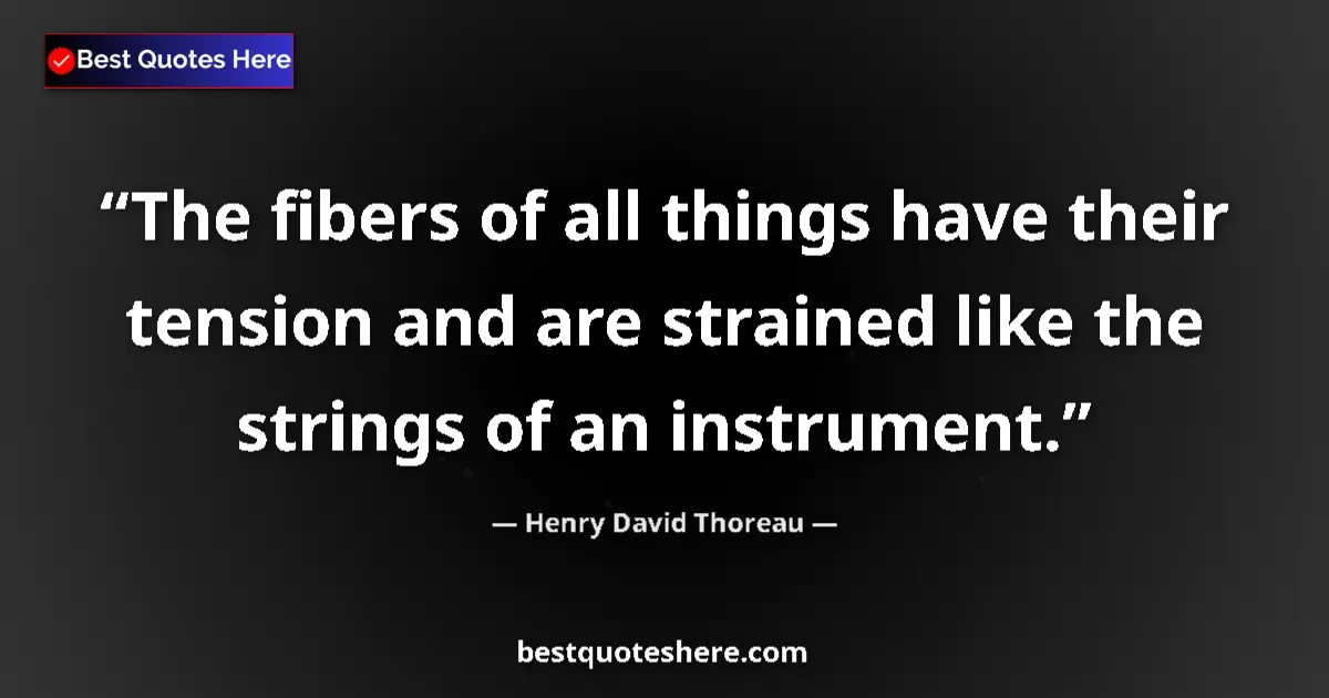 Image for the quote by Henry David Thoreau: The fibers of all things have their tension and are strained like the strings of an instrument....