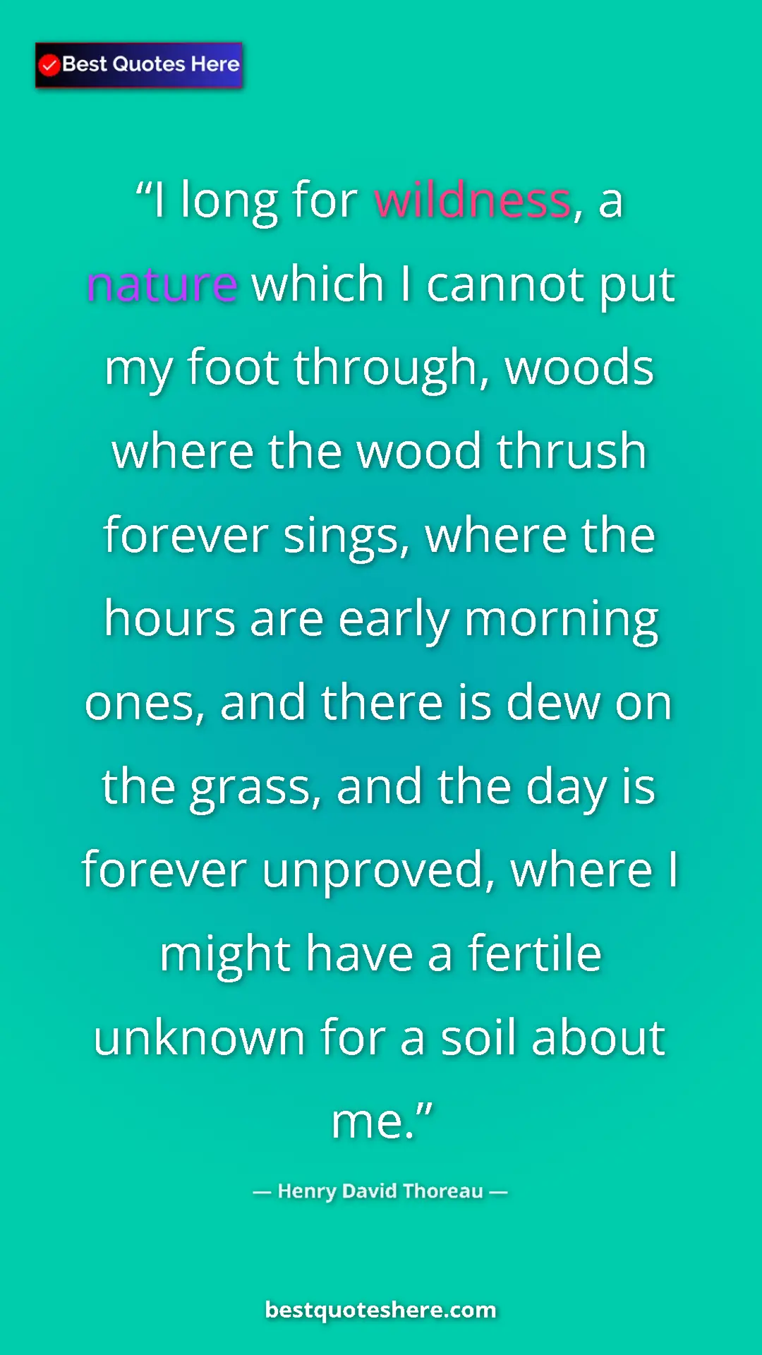 Pinterest quote poster by Henry David Thoreau: "I long for wildness, a nature which I cannot put my foot thr"