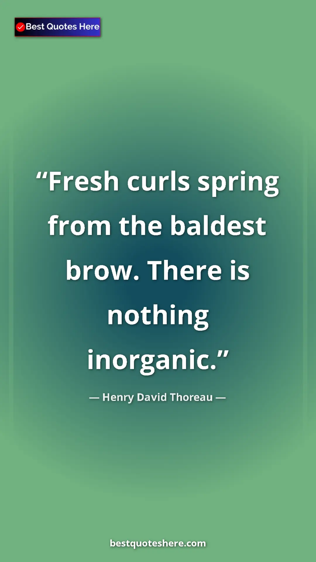 Henry David Thoreau Quote Card: "Fresh curls spring from the baldest brow. There is nothing..." Pinterest quote poster by Henry David Thoreau: "Fresh curls spring from the baldest brow. There is nothing..."