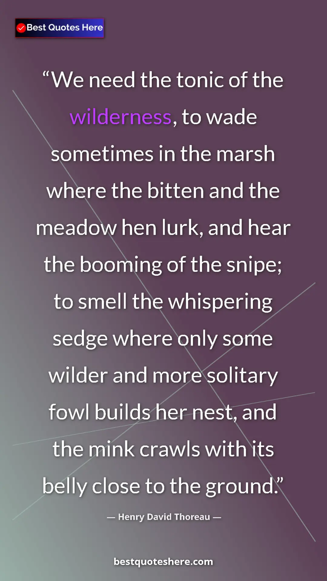 Pinterest quote poster by Henry David Thoreau: "We need the tonic of the wilderness, to wade sometimes in..."
