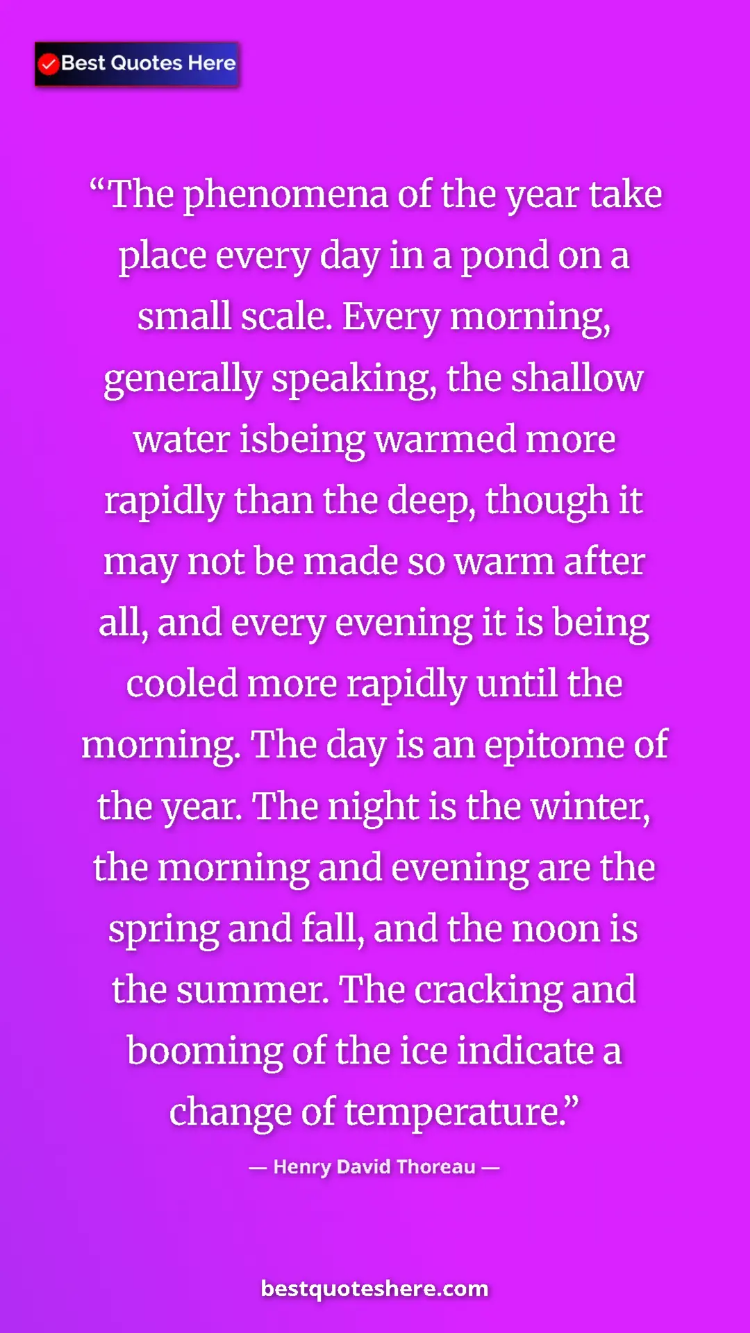 Henry David Thoreau Quote Card: "The phenomena of the year take place every day in a pond on..." Pinterest quote poster by Henry David Thoreau: "The phenomena of the year take place every day in a pond on..."
