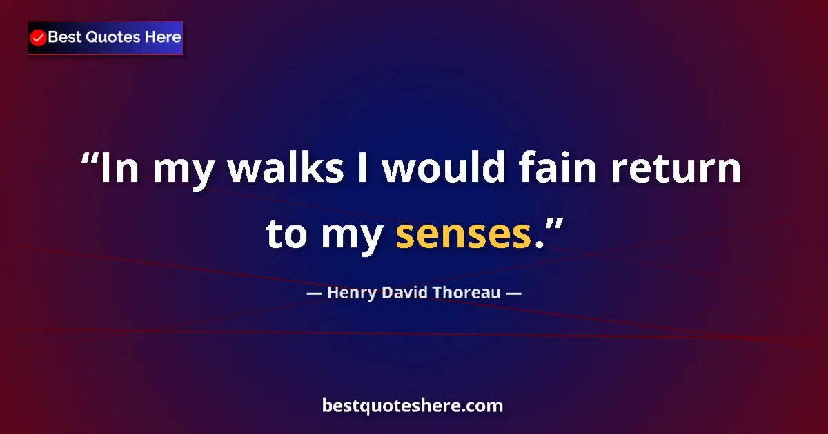 Quote by Henry David Thoreau: In my walks I would fain return to my senses....