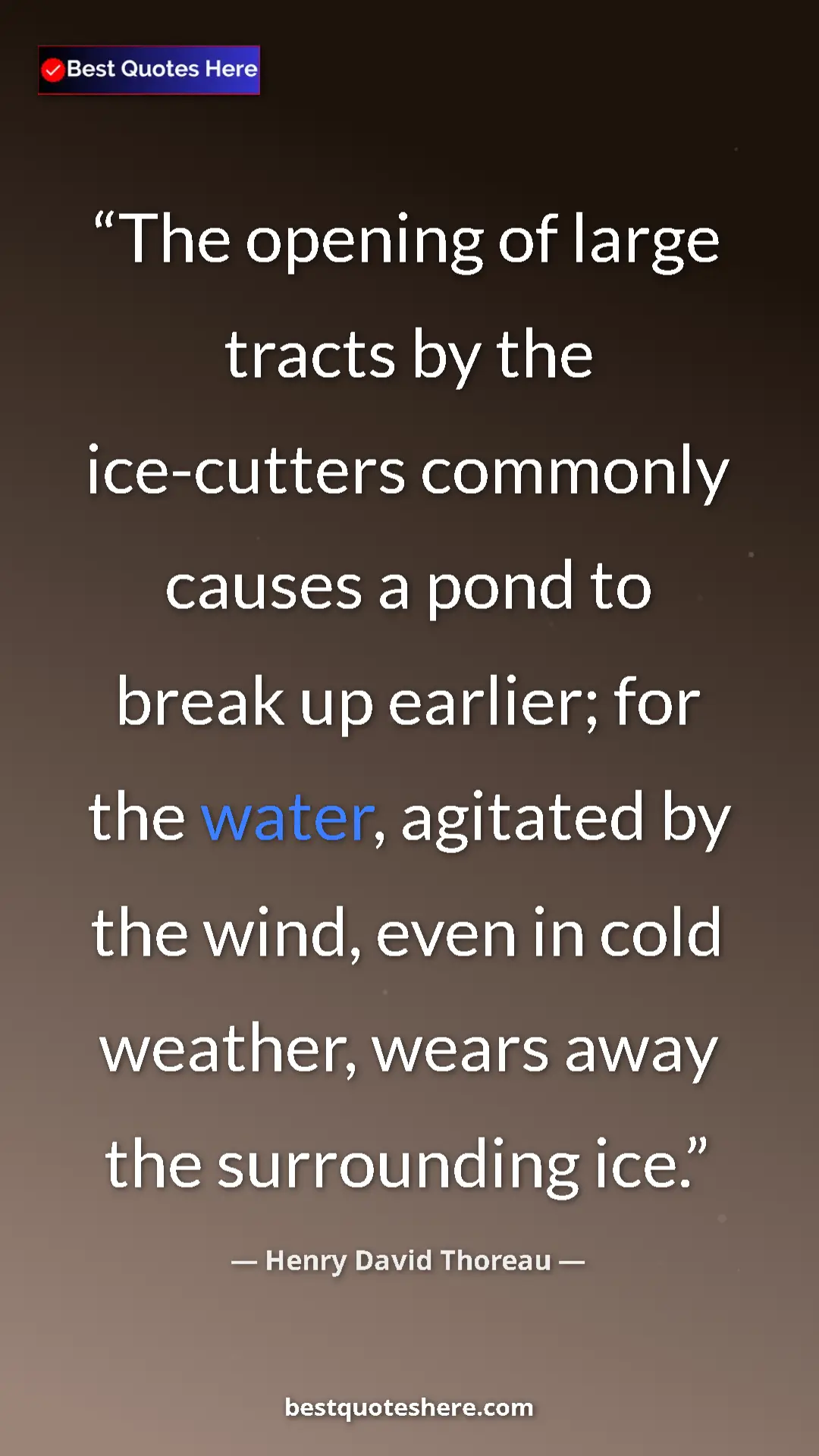 Pinterest quote poster by Henry David Thoreau: "The opening of large tracts by the ice-cutters commonly..."