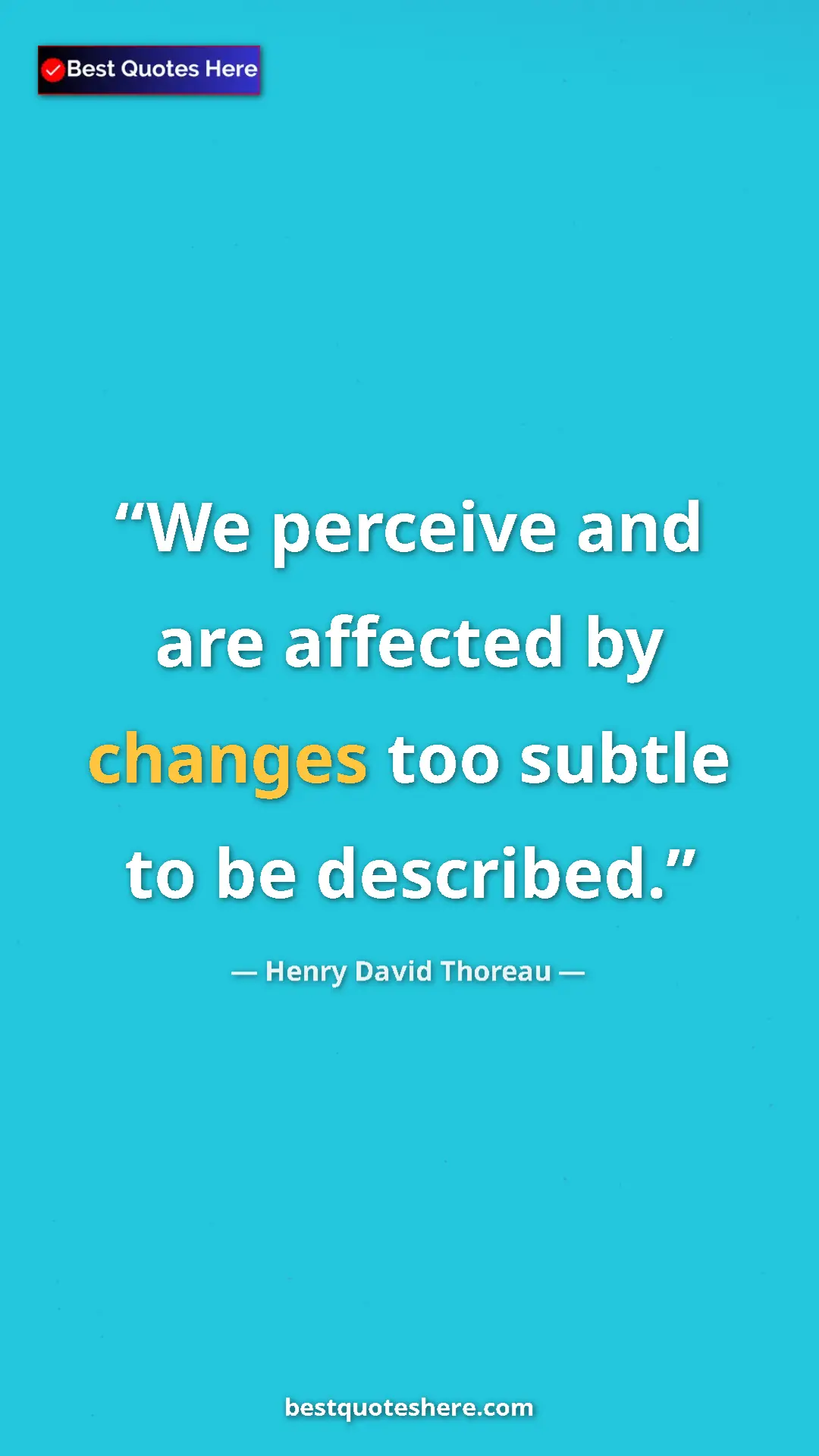 Pinterest quote poster by Henry David Thoreau: "We perceive and are affected by changes too subtle to be..."