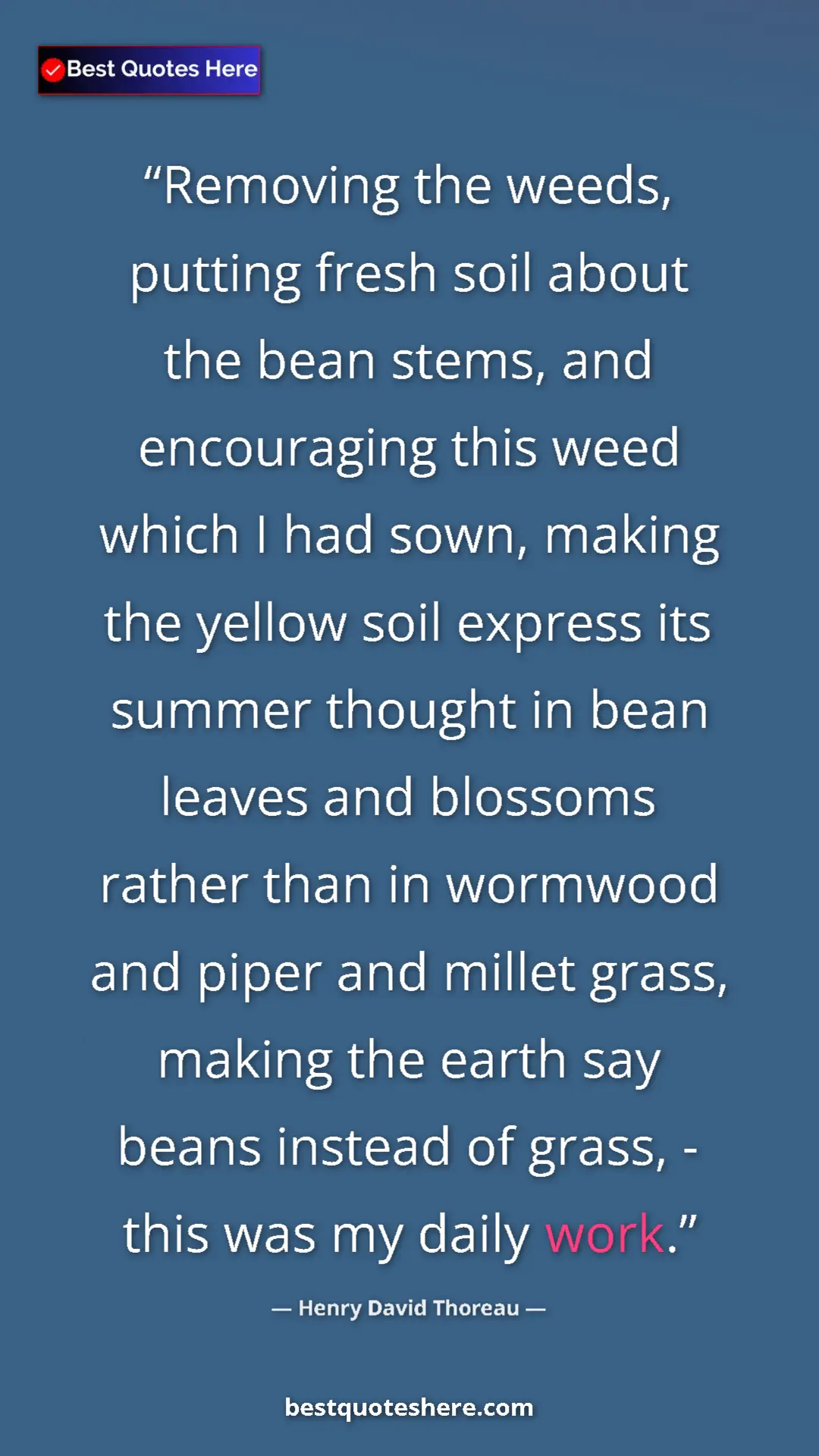 Henry David Thoreau Quote Card: "Removing the weeds, putting fresh soil about the bean..." Pinterest quote poster by Henry David Thoreau: "Removing the weeds, putting fresh soil about the bean..."