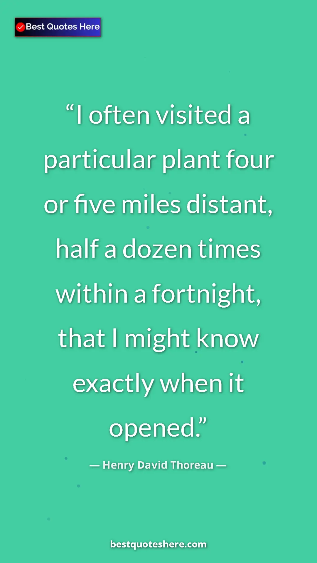 Henry David Thoreau Quote Card: "I often visited a particular plant four or five miles..." Pinterest quote poster by Henry David Thoreau: "I often visited a particular plant four or five miles..."