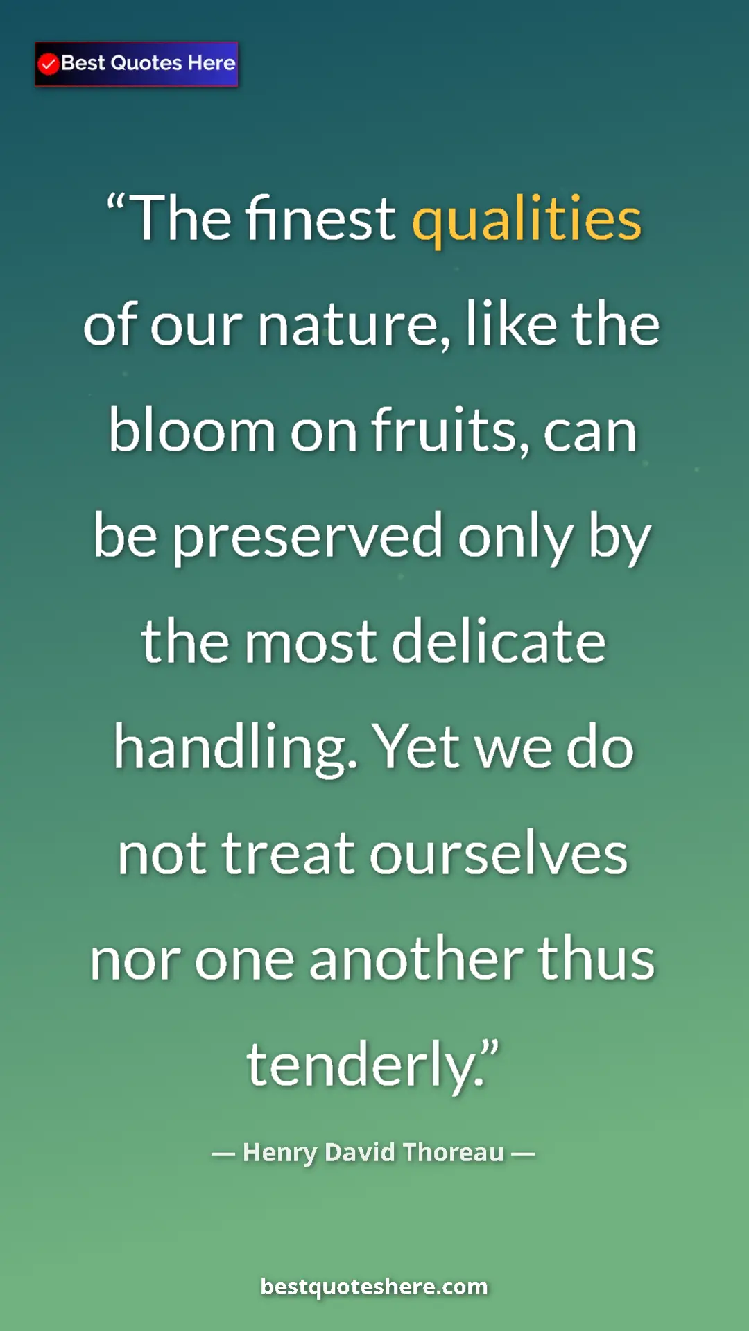 Henry David Thoreau Quote Card: "The finest qualities of our nature, like the bloom on..." Pinterest quote poster by Henry David Thoreau: "The finest qualities of our nature, like the bloom on..."