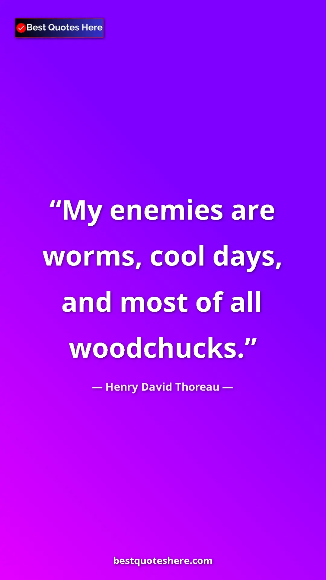 Pinterest quote poster by Henry David Thoreau: "My enemies are worms, cool days, and most of all woodchucks."