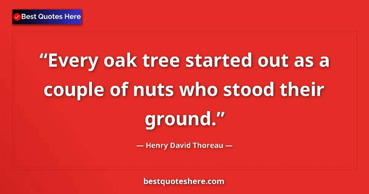 Quote by Henry David Thoreau: Every oak tree started out as a couple of nuts who stood their ground....
