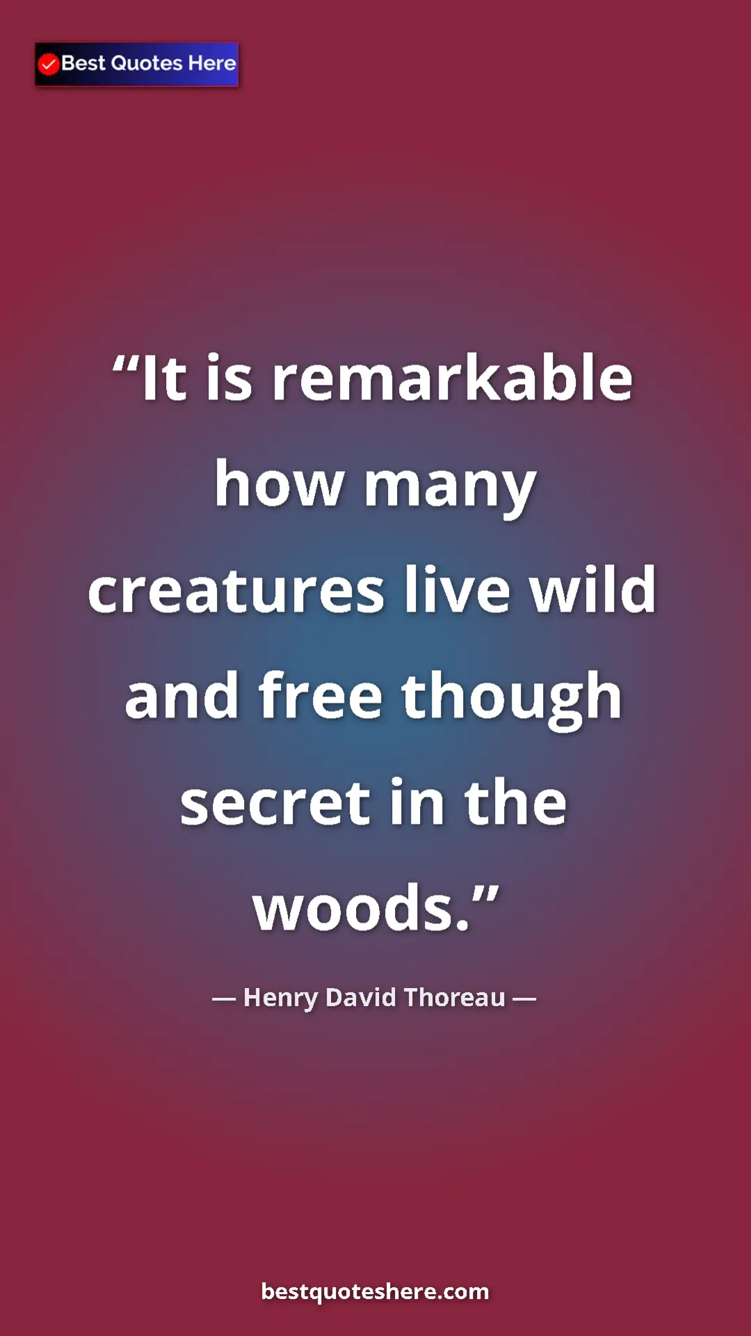 Pinterest quote poster by Henry David Thoreau: "It is remarkable how many creatures live wild and free..."