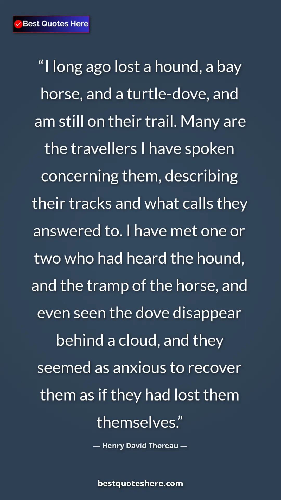 Henry David Thoreau Quote Card: "I long ago lost a hound, a bay horse, and a turtle-dove,..." Pinterest quote poster by Henry David Thoreau: "I long ago lost a hound, a bay horse, and a turtle-dove,..."