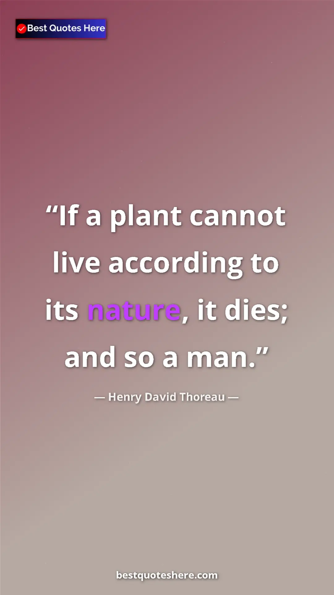 Henry David Thoreau Quote Card: "If a plant cannot live according to its nature, it dies;..." Pinterest quote poster by Henry David Thoreau: "If a plant cannot live according to its nature, it dies;..."
