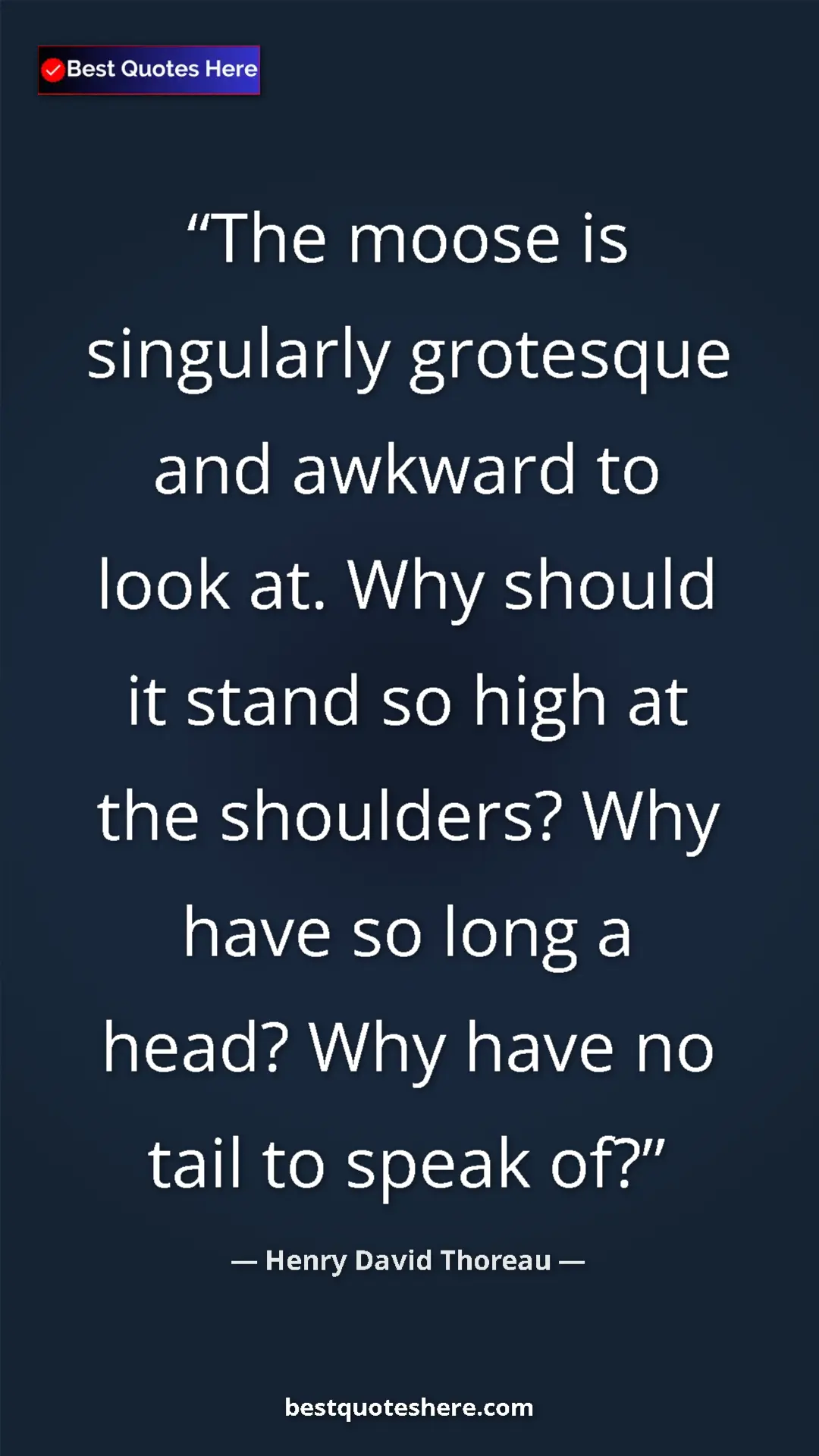 Henry David Thoreau Quote Card: "The moose is singularly grotesque and awkward to look at...." Pinterest quote poster by Henry David Thoreau: "The moose is singularly grotesque and awkward to look at...."
