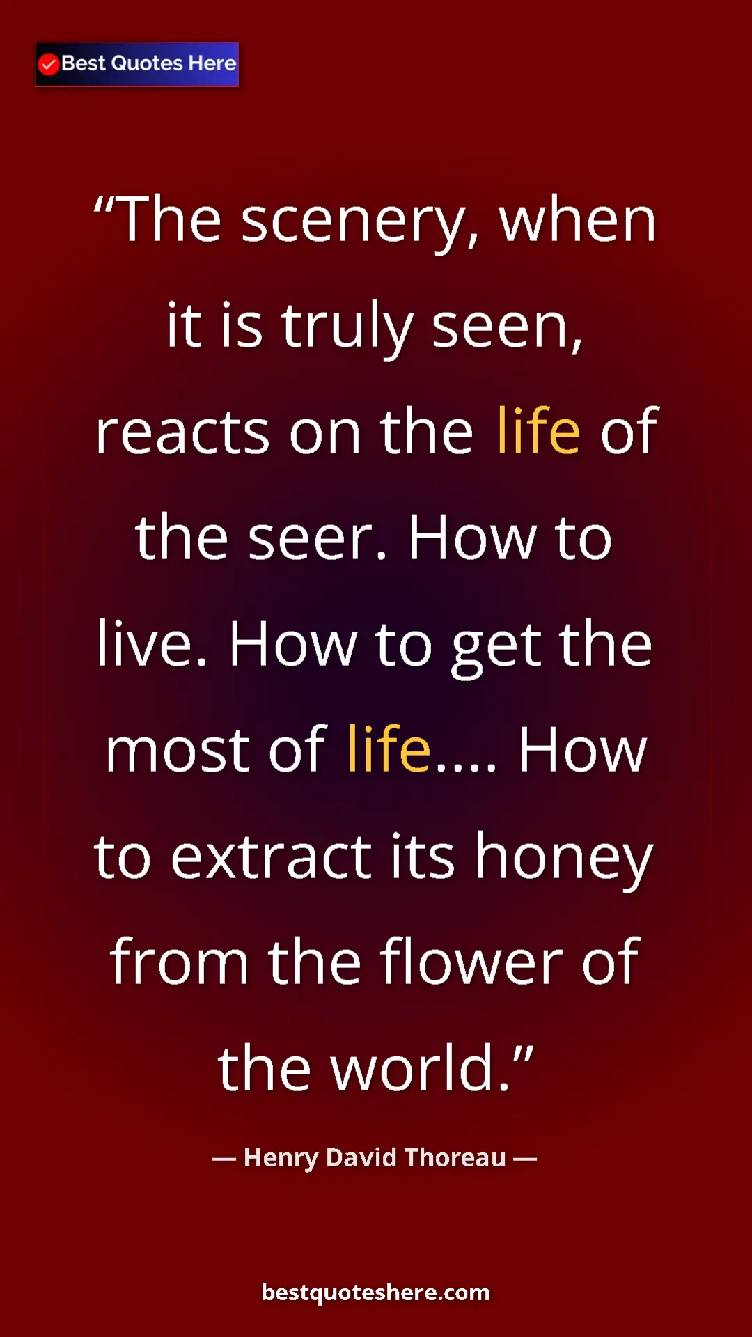 Pinterest quote poster by Henry David Thoreau: "The scenery, when it is truly seen, reacts on the life of..."