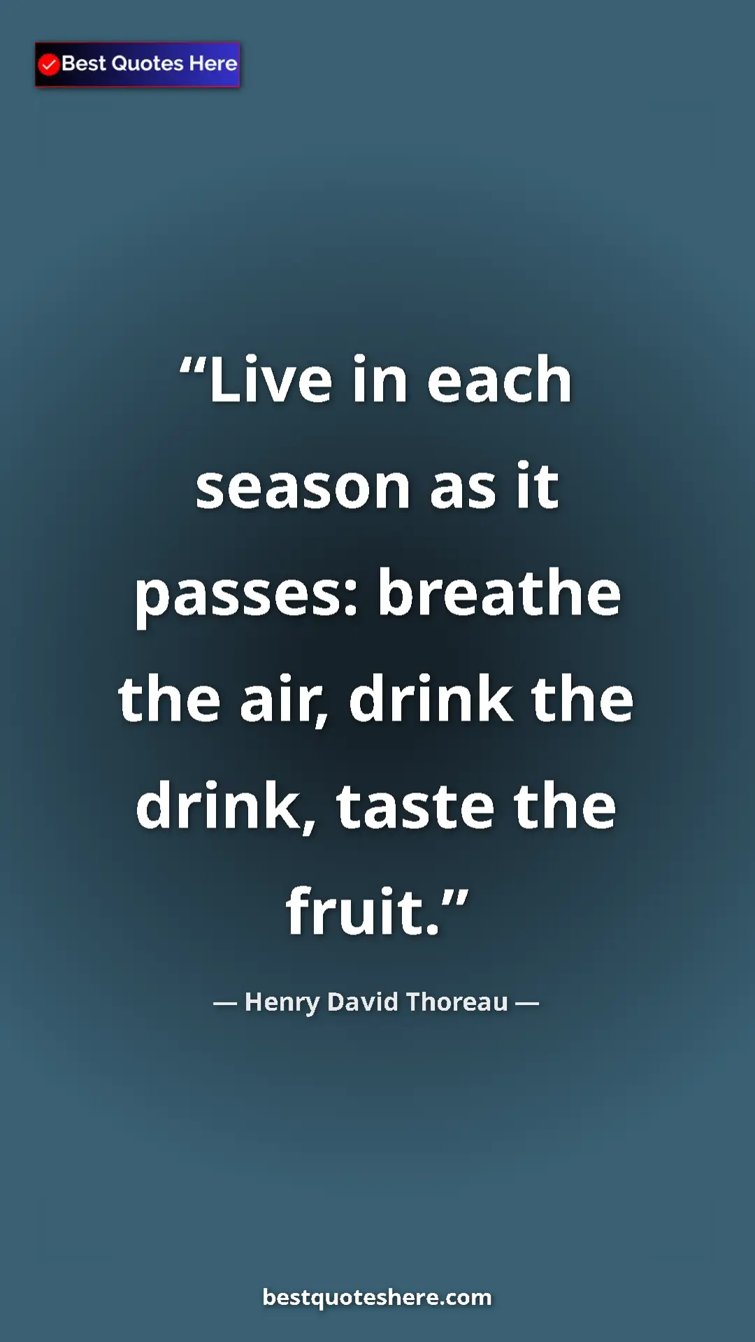Pinterest quote poster by Henry David Thoreau: "Live in each season as it passes: breathe the air, drink..."