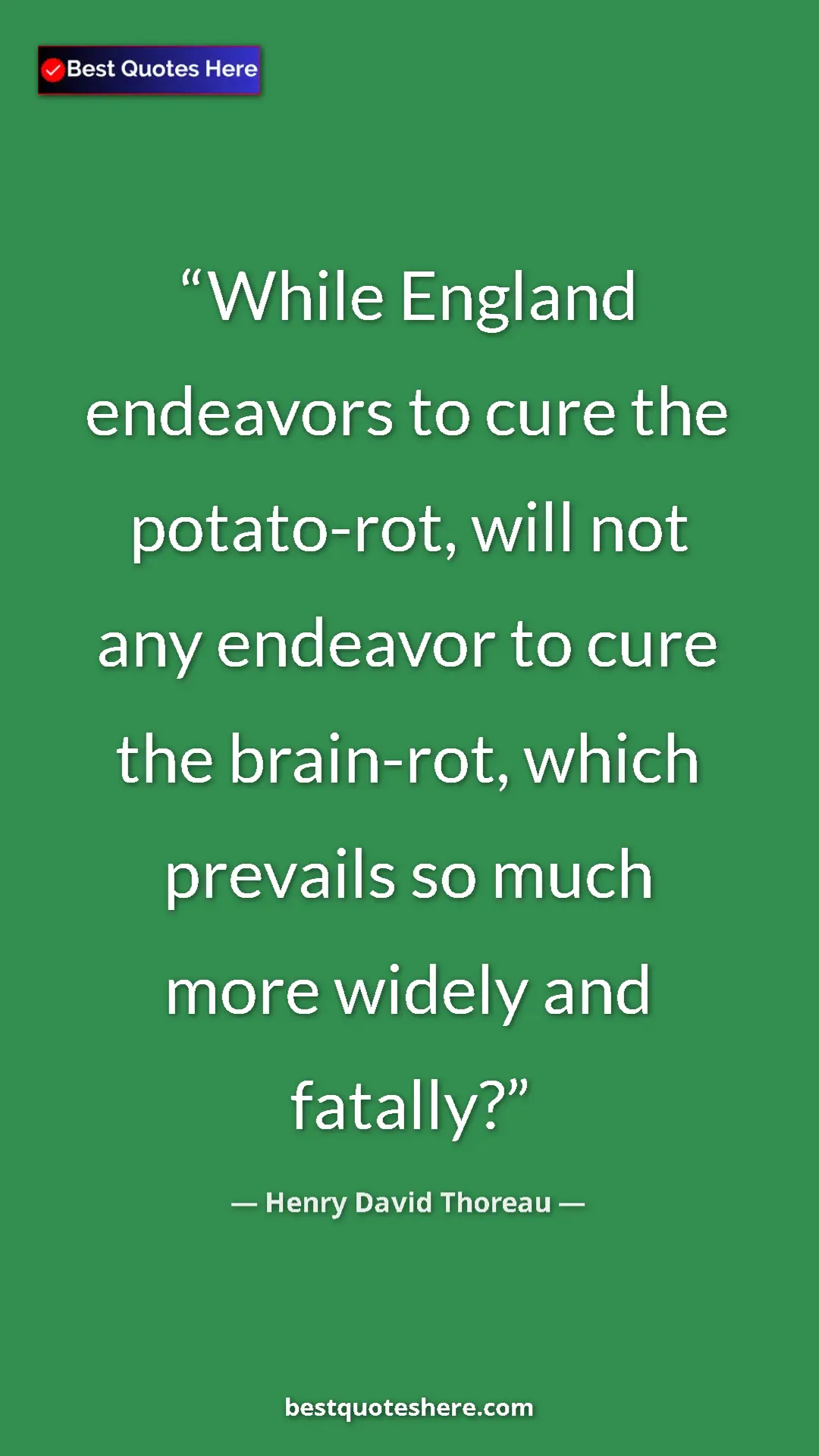 Henry David Thoreau Quote Card: "While England endeavors to cure the potato-rot, will not..." Pinterest quote poster by Henry David Thoreau: "While England endeavors to cure the potato-rot, will not..."
