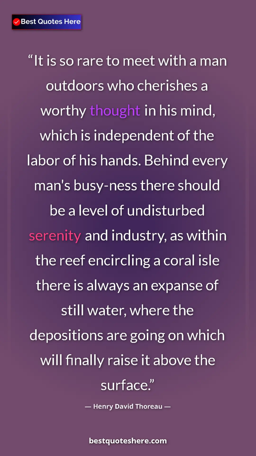 Henry David Thoreau Quote Card: "It is so rare to meet with a man outdoors who cherishes a..." Pinterest quote poster by Henry David Thoreau: "It is so rare to meet with a man outdoors who cherishes a..."