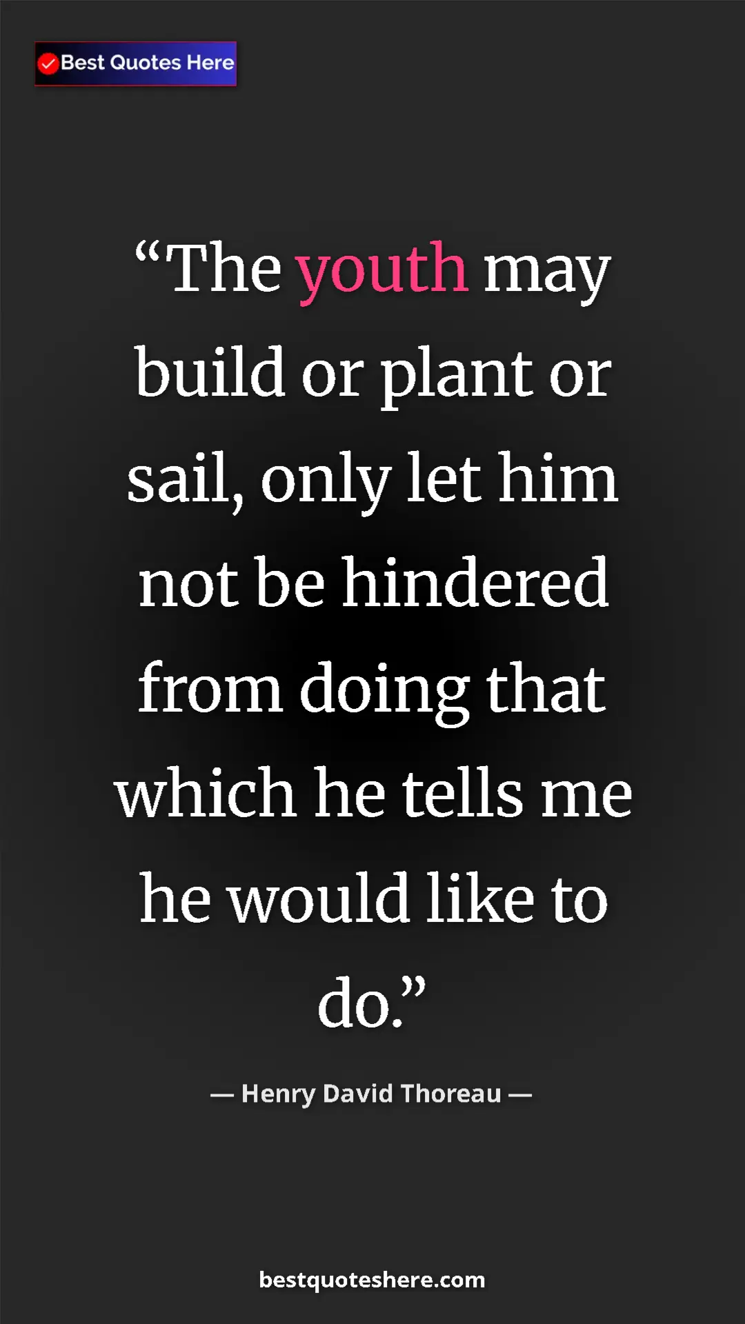 Henry David Thoreau Quote Card: "The youth may build or plant or sail, only let him not be..." Pinterest quote poster by Henry David Thoreau: "The youth may build or plant or sail, only let him not be..."