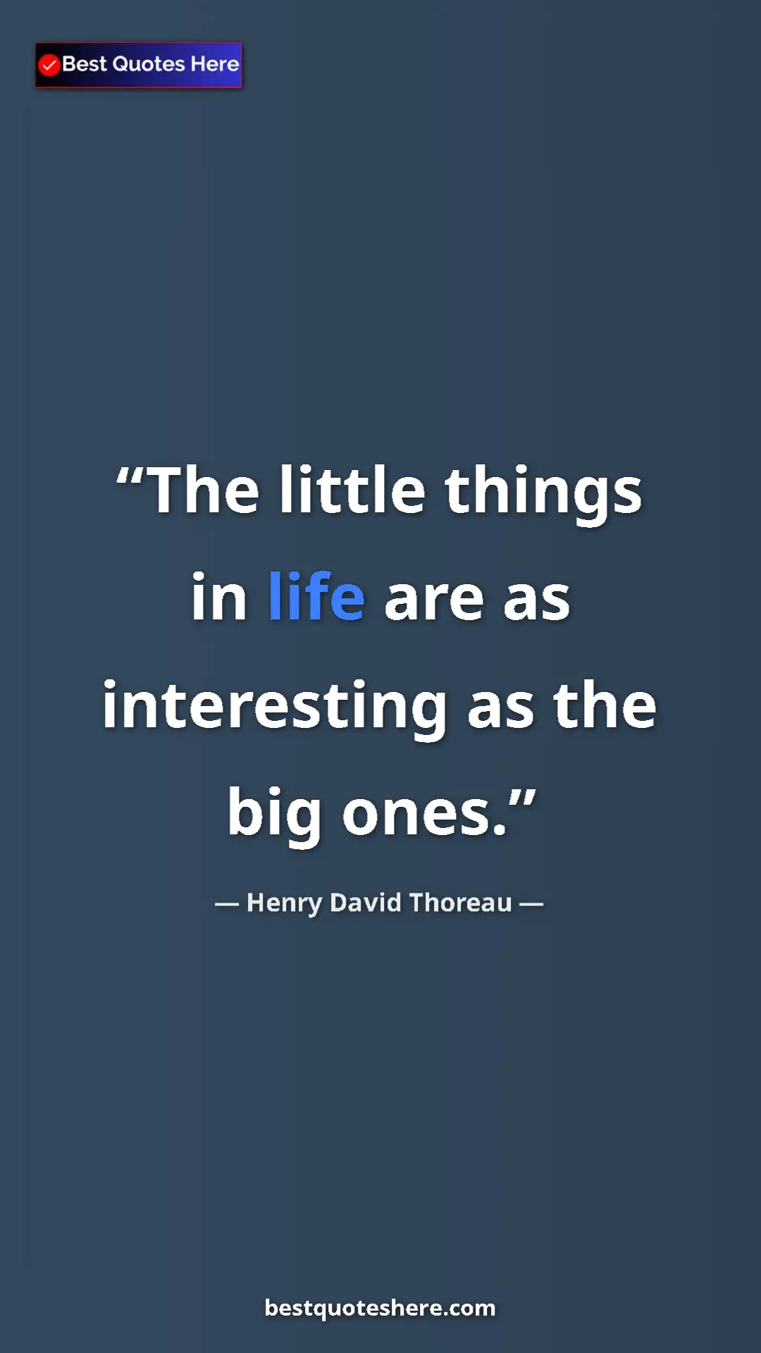 Pinterest quote poster by Henry David Thoreau: "The little things in life are as interesting as the big..."