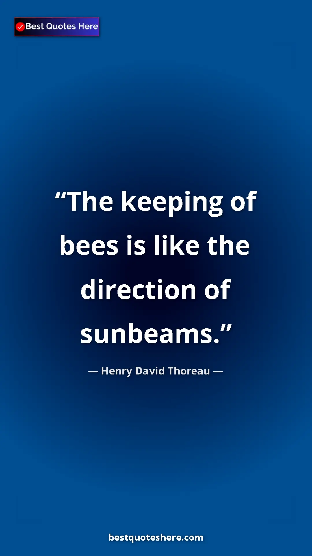 Pinterest quote poster by Henry David Thoreau: "The keeping of bees is like the direction of sunbeams."
