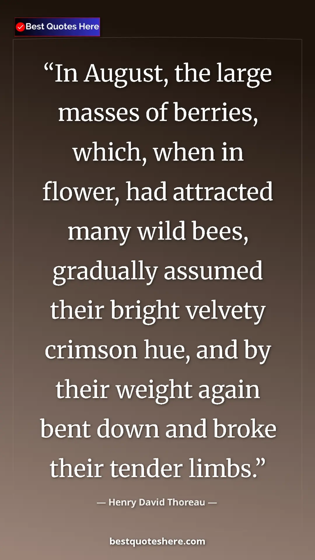 Henry David Thoreau Quote Card: "In August, the large masses of berries, which, when in..." Pinterest quote poster by Henry David Thoreau: "In August, the large masses of berries, which, when in..."