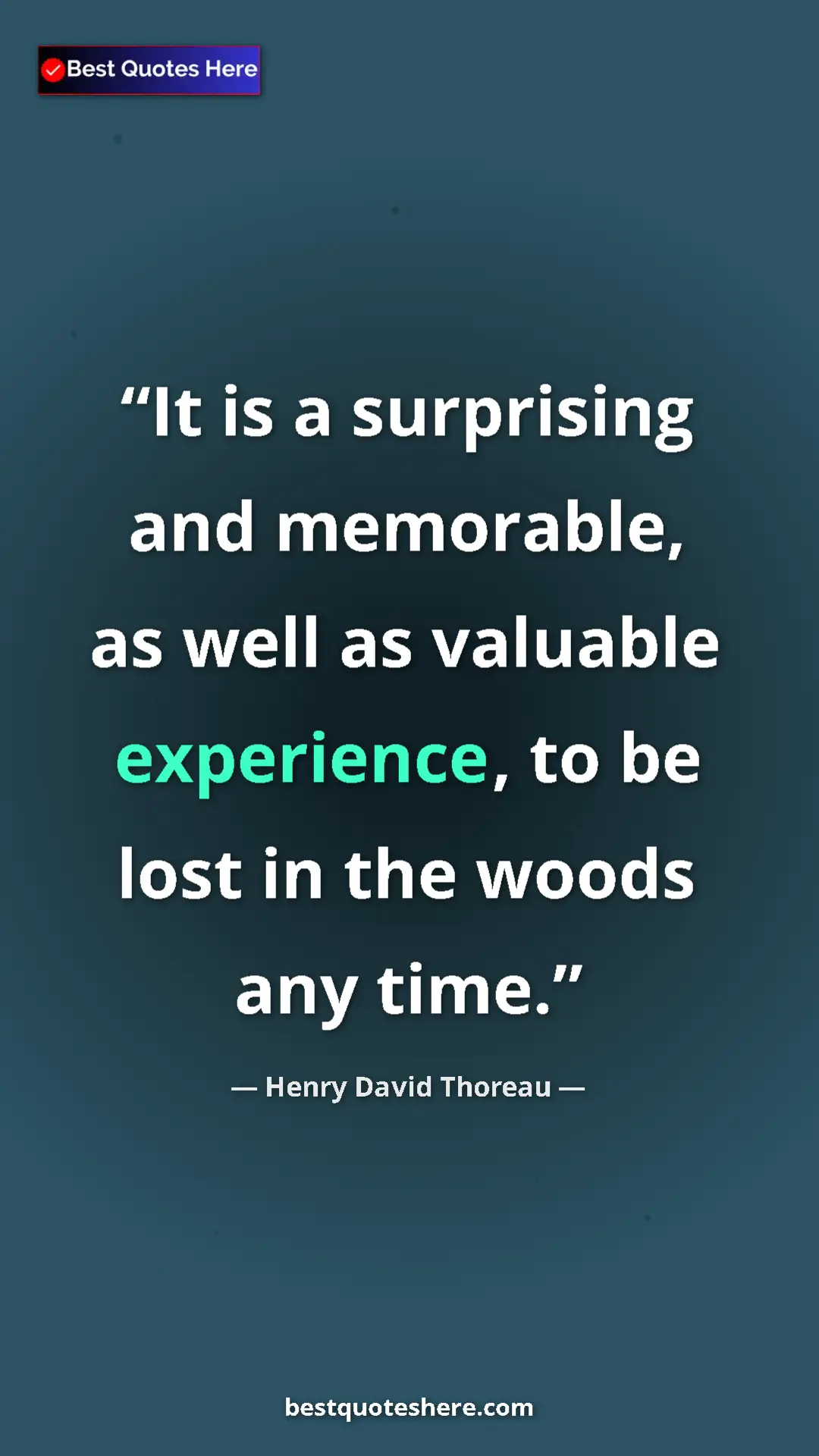 Henry David Thoreau Quote Card: "It is a surprising and memorable, as well as valuable..." Pinterest quote poster by Henry David Thoreau: "It is a surprising and memorable, as well as valuable..."