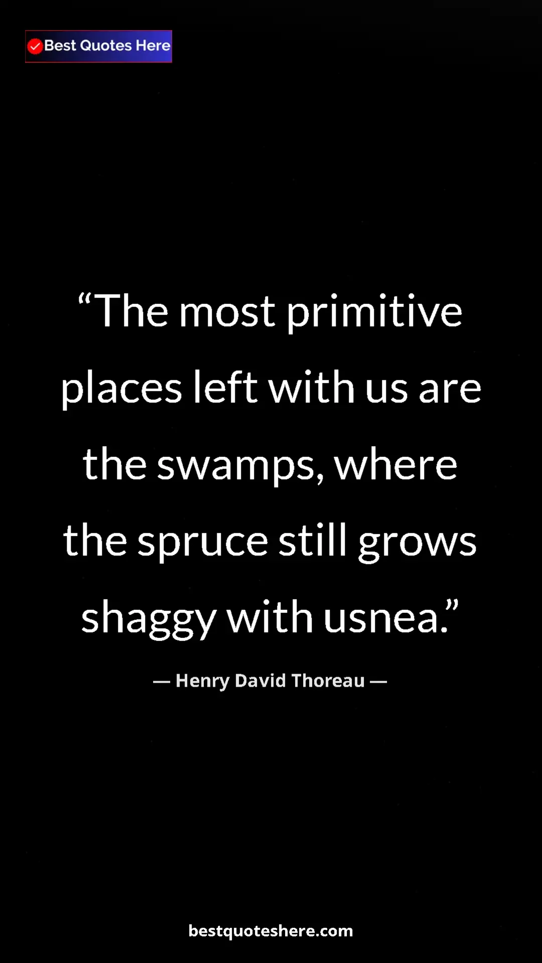 Henry David Thoreau Quote Card: "The most primitive places left with us are the swamps,..." Pinterest quote poster by Henry David Thoreau: "The most primitive places left with us are the swamps,..."
