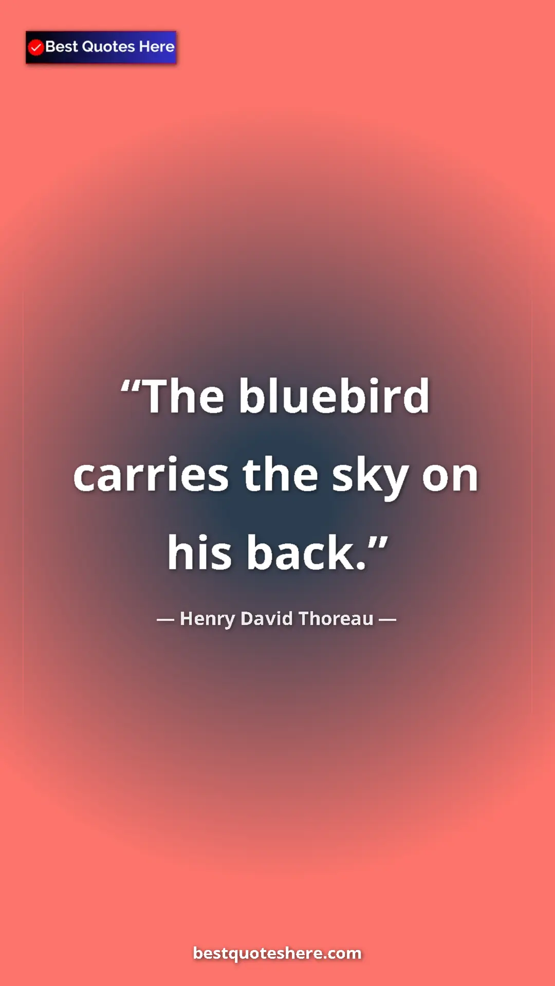 Henry David Thoreau Quote Card: "The bluebird carries the sky on his back." Pinterest quote poster by Henry David Thoreau: "The bluebird carries the sky on his back."