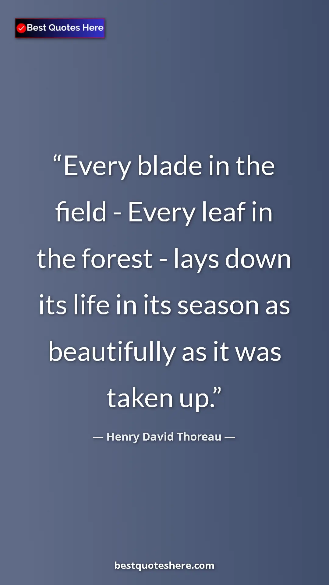 Henry David Thoreau Quote Card: "Every blade in the field - Every leaf in the forest - lays..." Pinterest quote poster by Henry David Thoreau: "Every blade in the field - Every leaf in the forest - lays..."