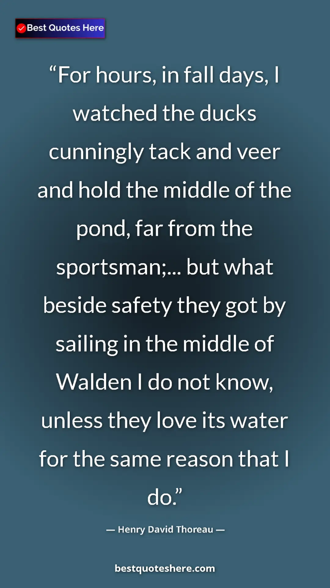 Henry David Thoreau Quote Card: "For hours, in fall days, I watched the ducks cunningly tack..." Pinterest quote poster by Henry David Thoreau: "For hours, in fall days, I watched the ducks cunningly tack..."