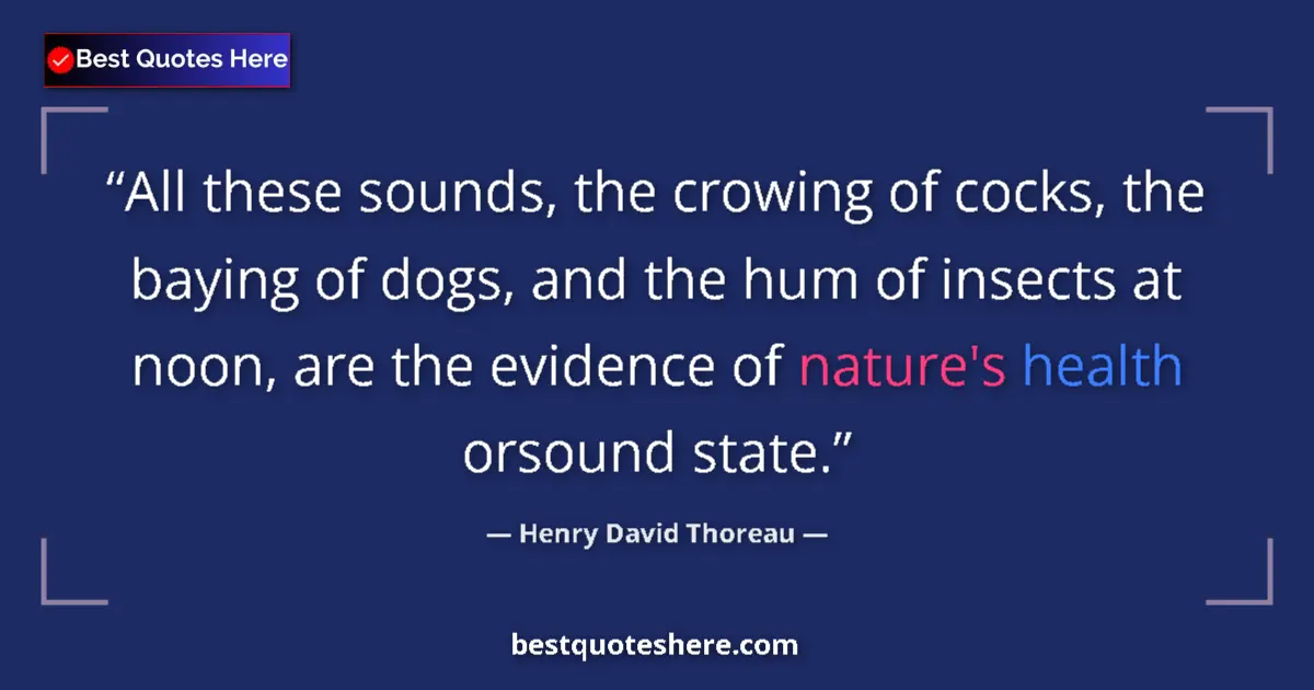 Quote by Henry David Thoreau: All these sounds, the crowing of cocks, the baying of dogs, and the hum of insects at noon, are the ...