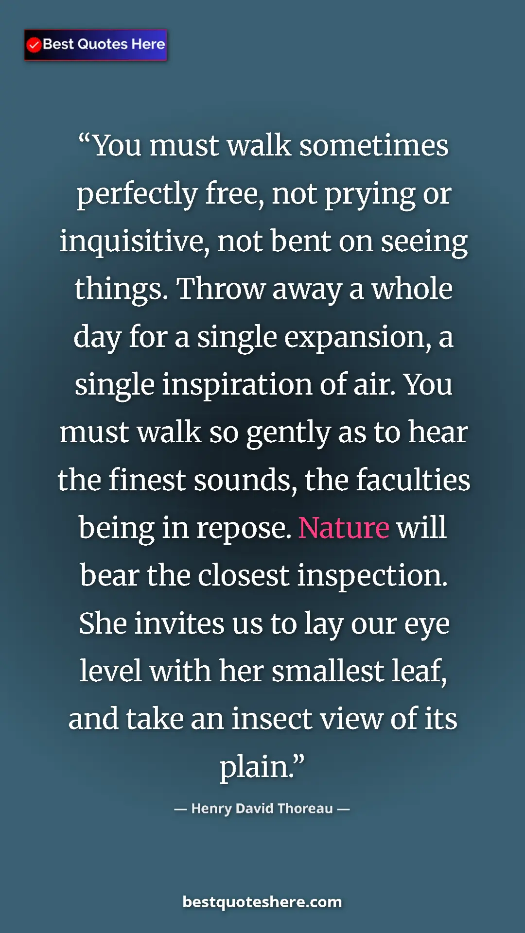 Pinterest quote poster by Henry David Thoreau: "You must walk sometimes perfectly free, not prying or..."