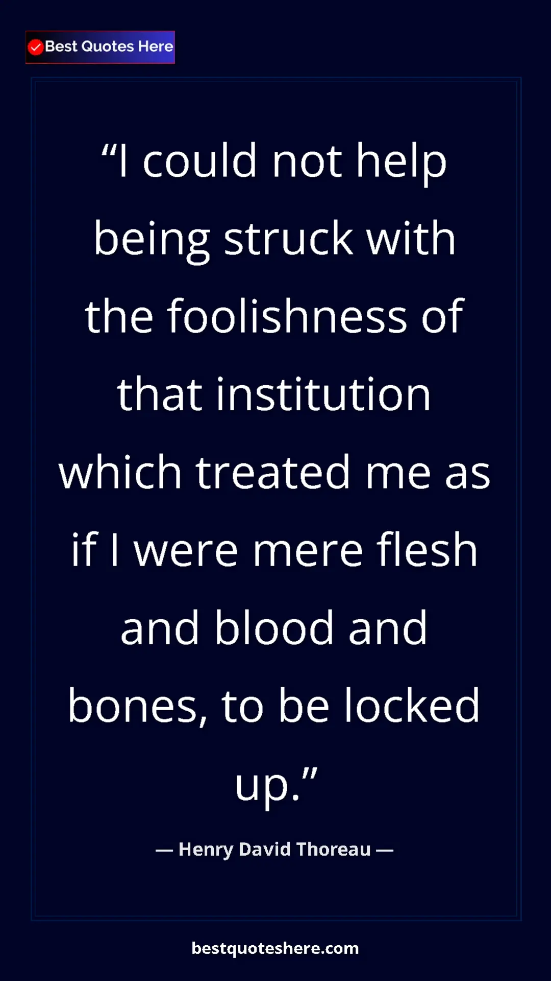 Pinterest quote poster by Henry David Thoreau: "I could not help being struck with the foolishness of that..."