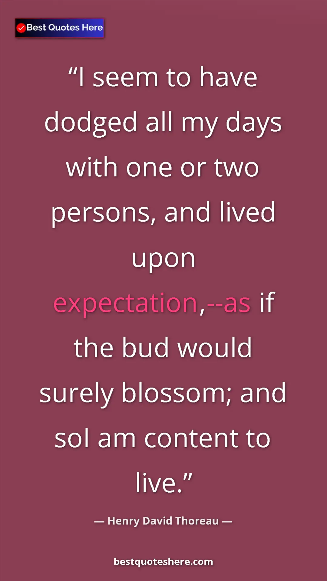 Henry David Thoreau Quote Card: "I seem to have dodged all my days with one or two persons,..." Pinterest quote poster by Henry David Thoreau: "I seem to have dodged all my days with one or two persons,..."