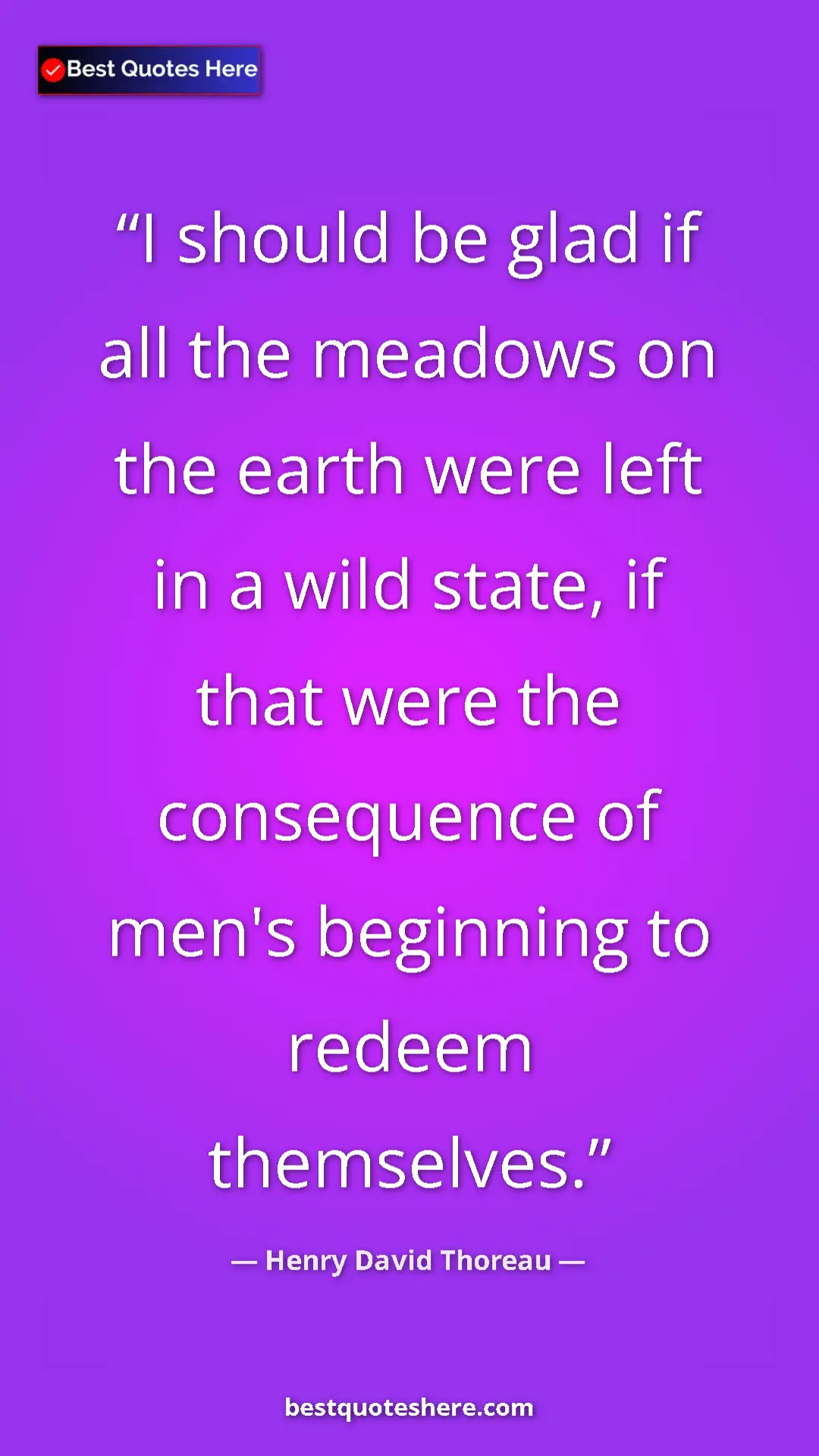 Henry David Thoreau Quote Card: "I should be glad if all the meadows on the earth were left i" Pinterest quote poster by Henry David Thoreau: "I should be glad if all the meadows on the earth were left i"
