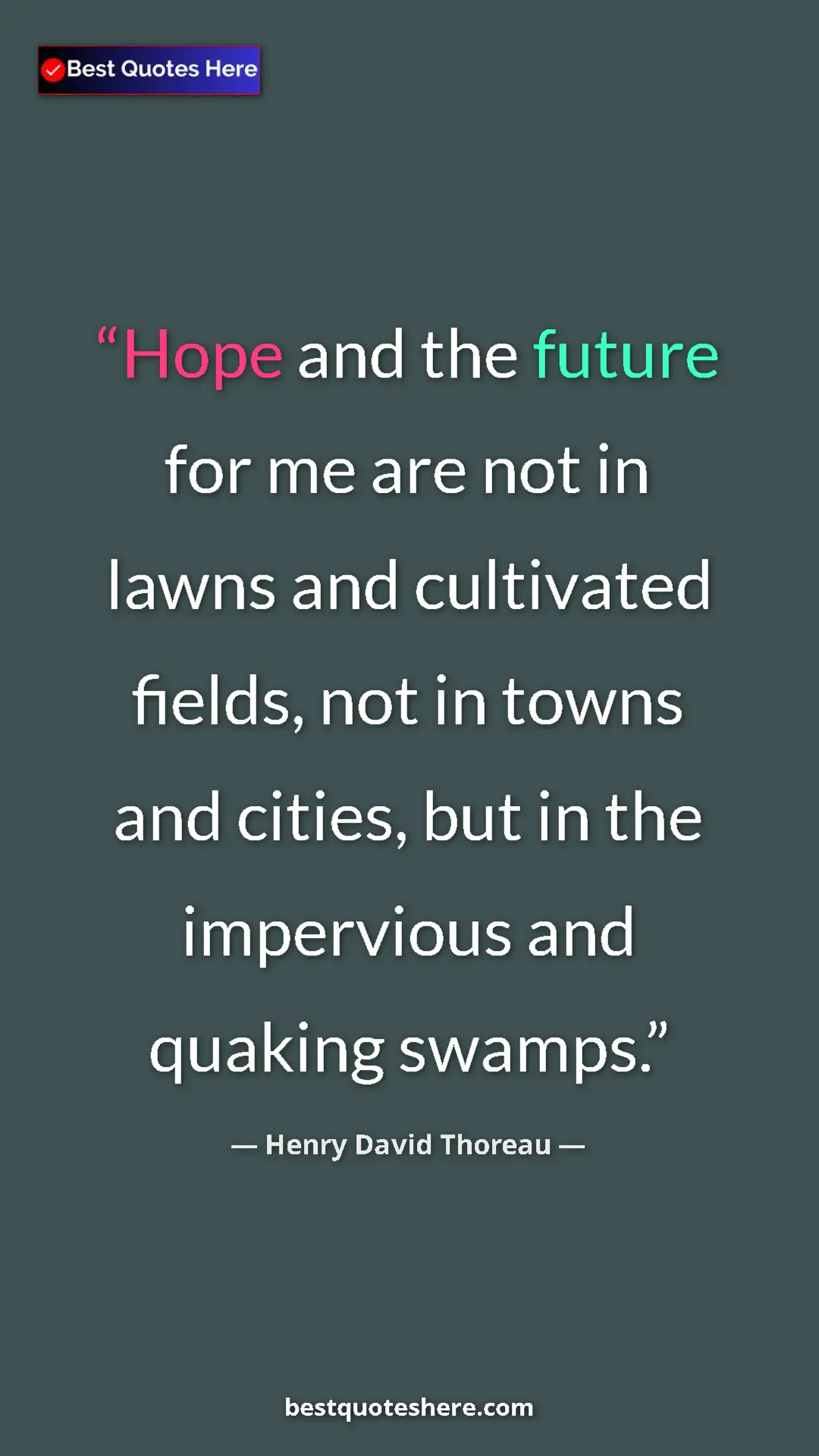 Henry David Thoreau Quote Card: "Hope and the future for me are not in lawns and cultivated..." Pinterest quote poster by Henry David Thoreau: "Hope and the future for me are not in lawns and cultivated..."
