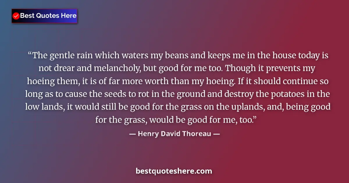 Quote by Henry David Thoreau: The gentle rain which waters my beans and keeps me in the house today is not drear and melancholy, b...