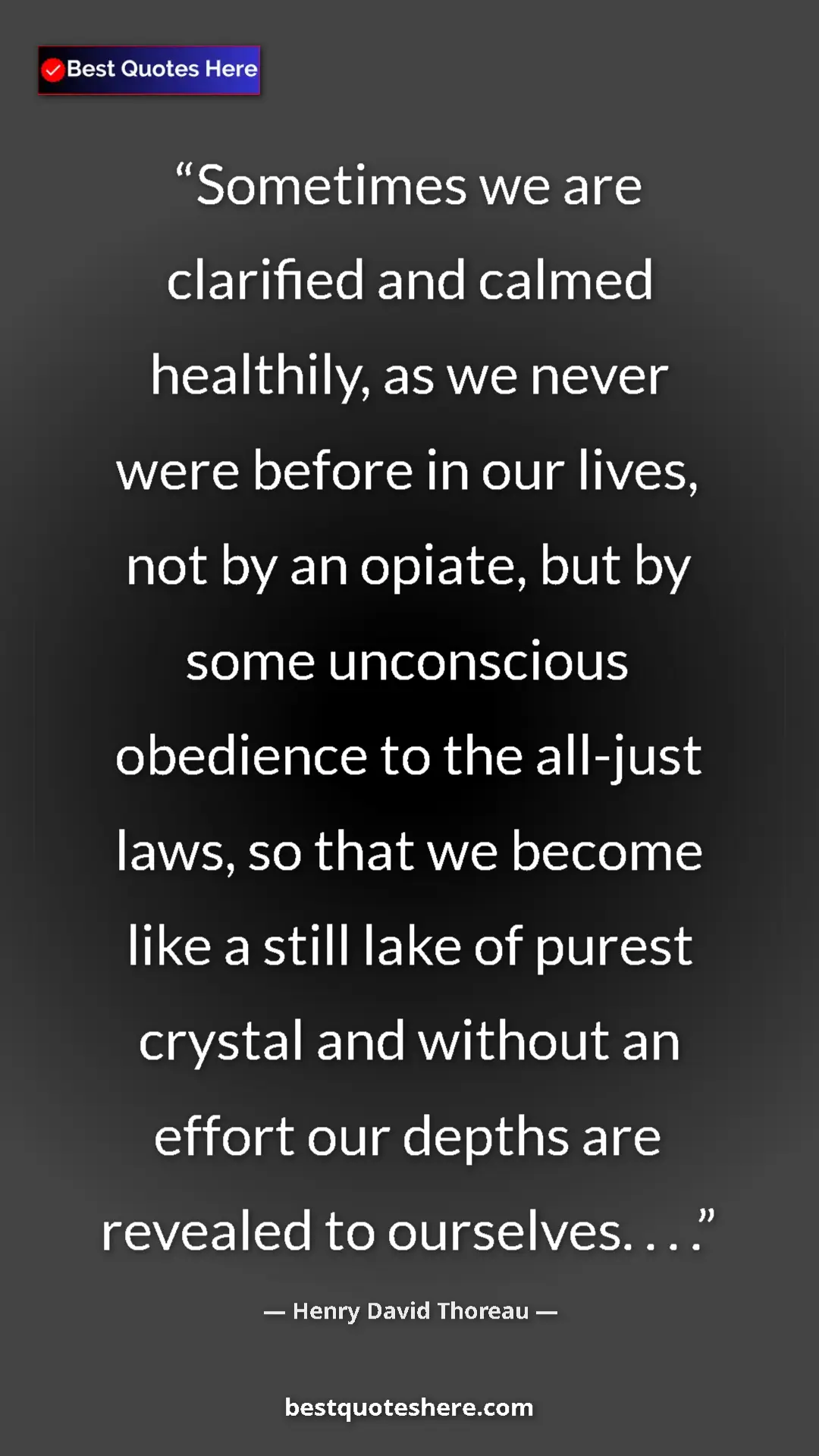 Henry David Thoreau Quote Card: "Sometimes we are clarified and calmed healthily, as we..." Pinterest quote poster by Henry David Thoreau: "Sometimes we are clarified and calmed healthily, as we..."